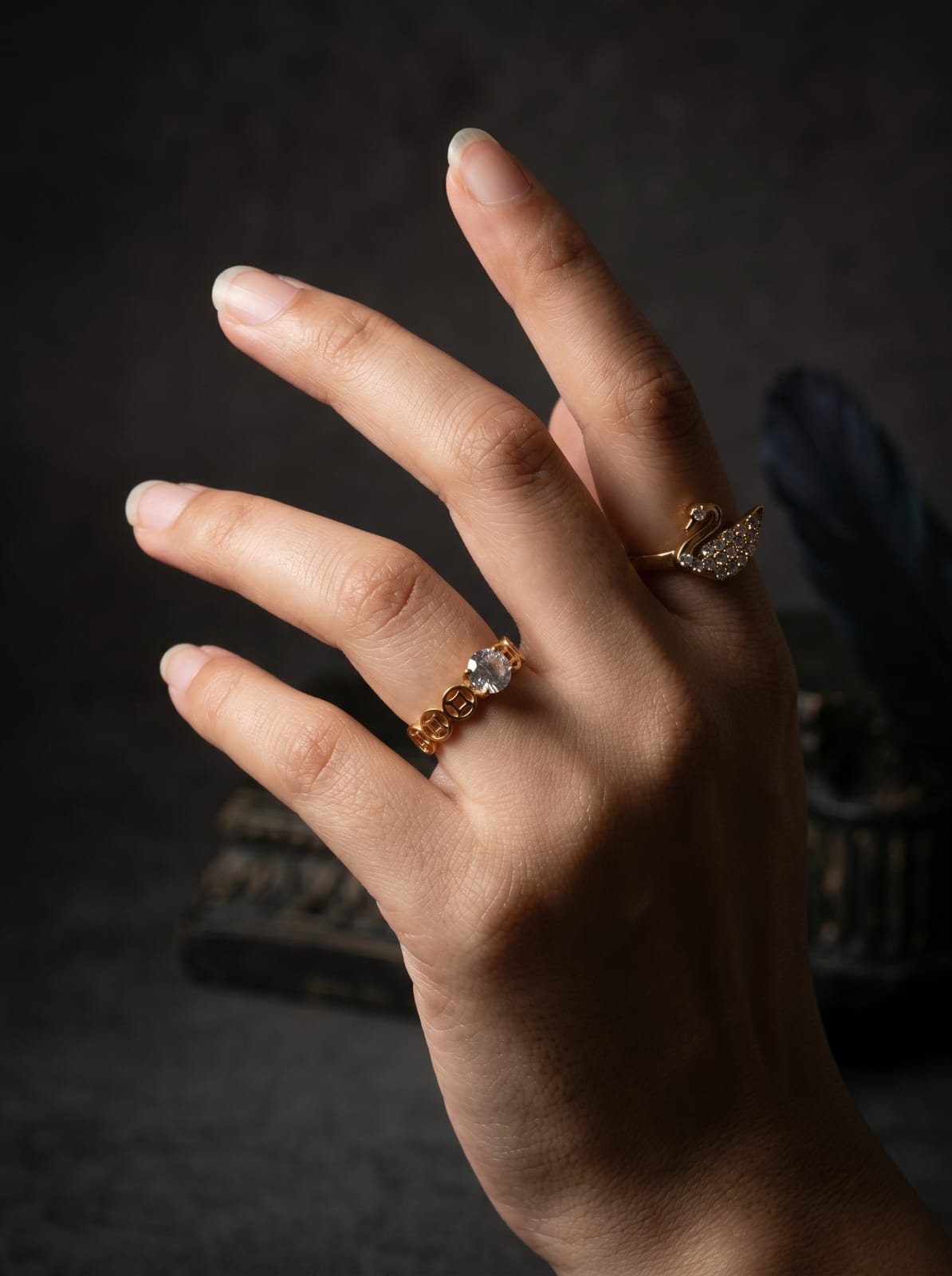Swan Sparkle Ring& Lumiere Circle Ring..